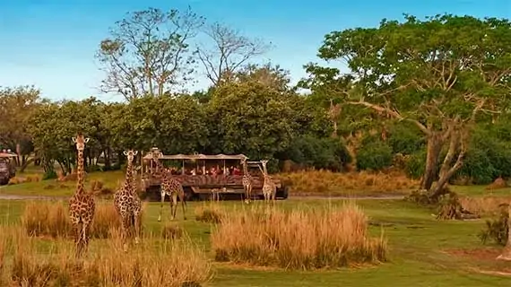 Kilimanjaro Safaris