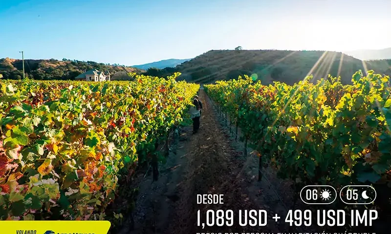 Napa Valley Super Saver